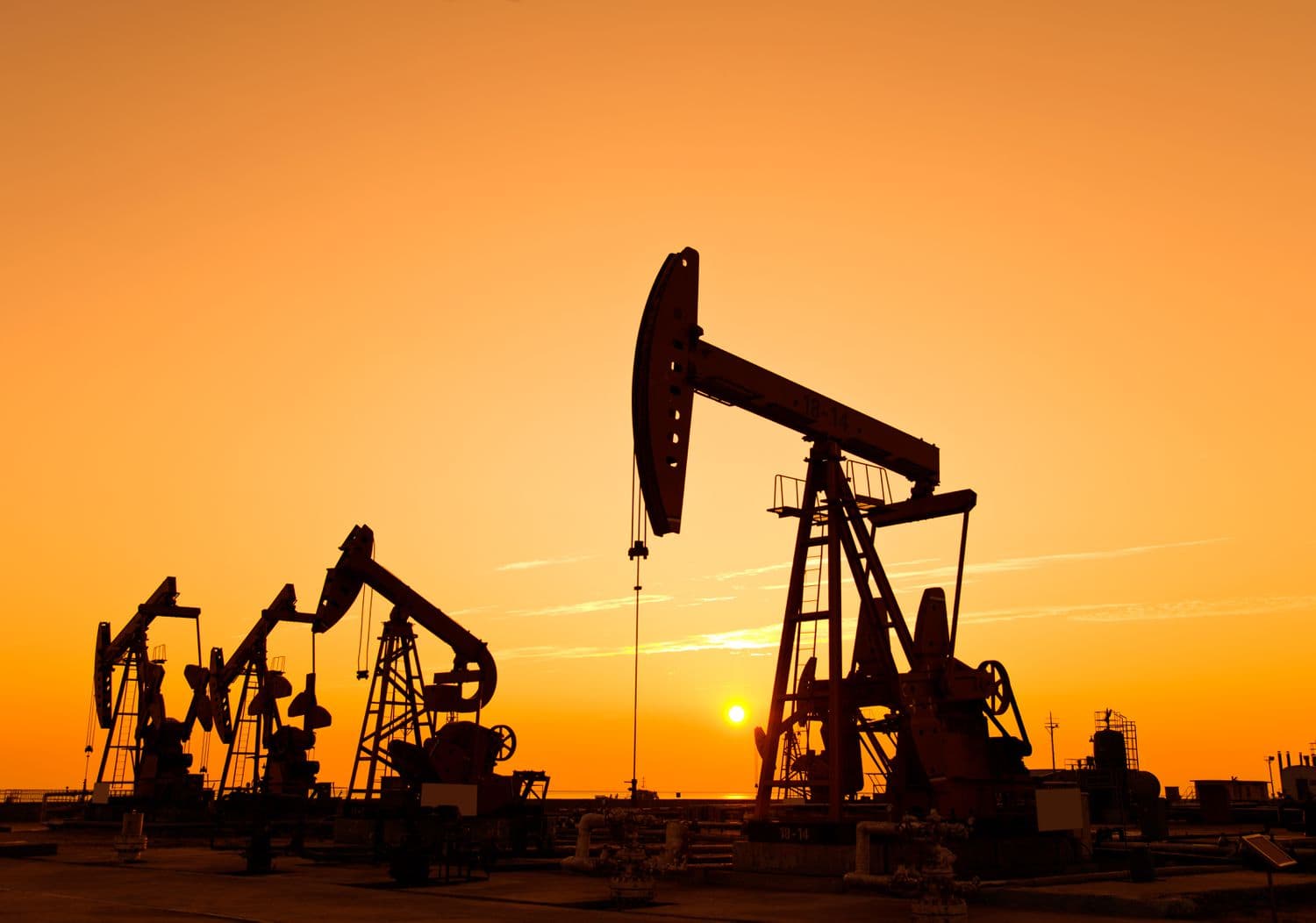 oil
